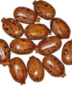 Castor Bean Seeds