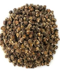Moringa Seeds