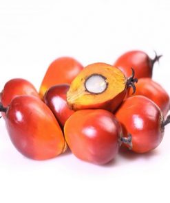 Palm Nuts