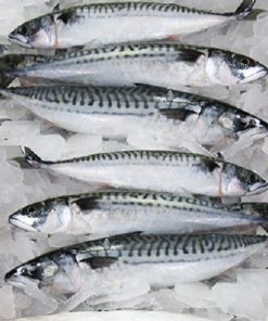 Frozen Fish