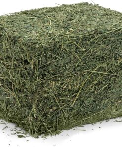 Timothy Grass Hay
